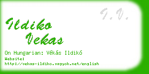 ildiko vekas business card
